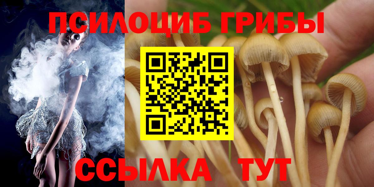 Псилоцибиновые грибы Cubensis Котельники