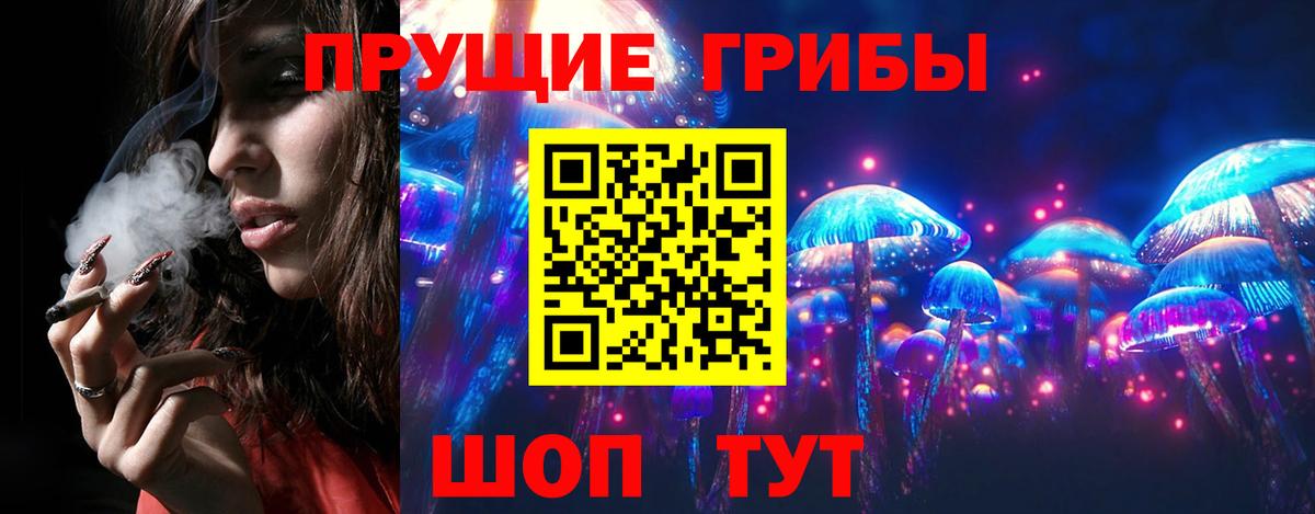 Галлюциногенные грибы Psilocybe  Вход с VPN  Котельники 